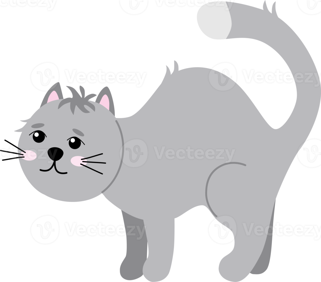 Cute cartoon grey cat png