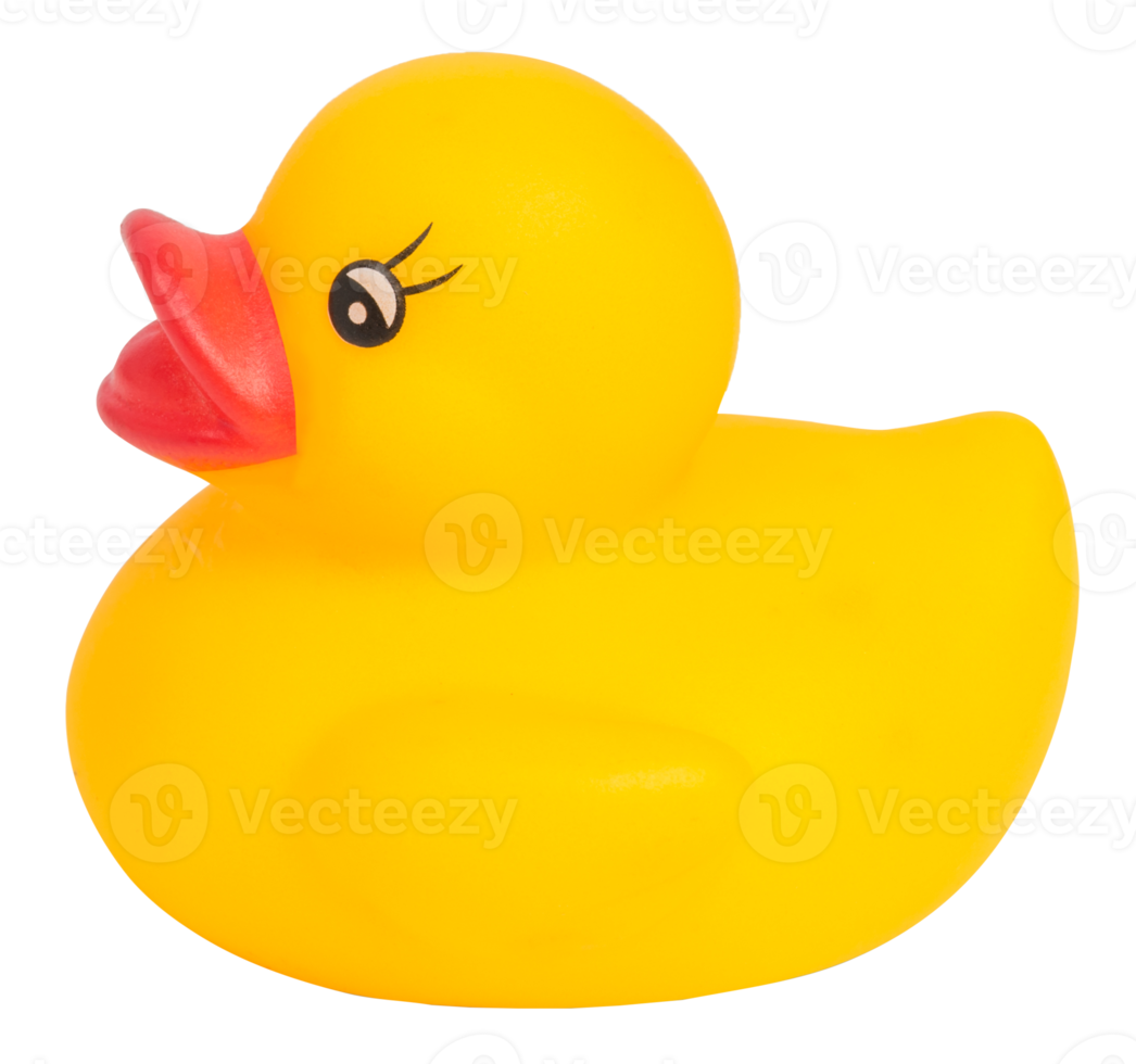 Yellow rubber duck isolated png