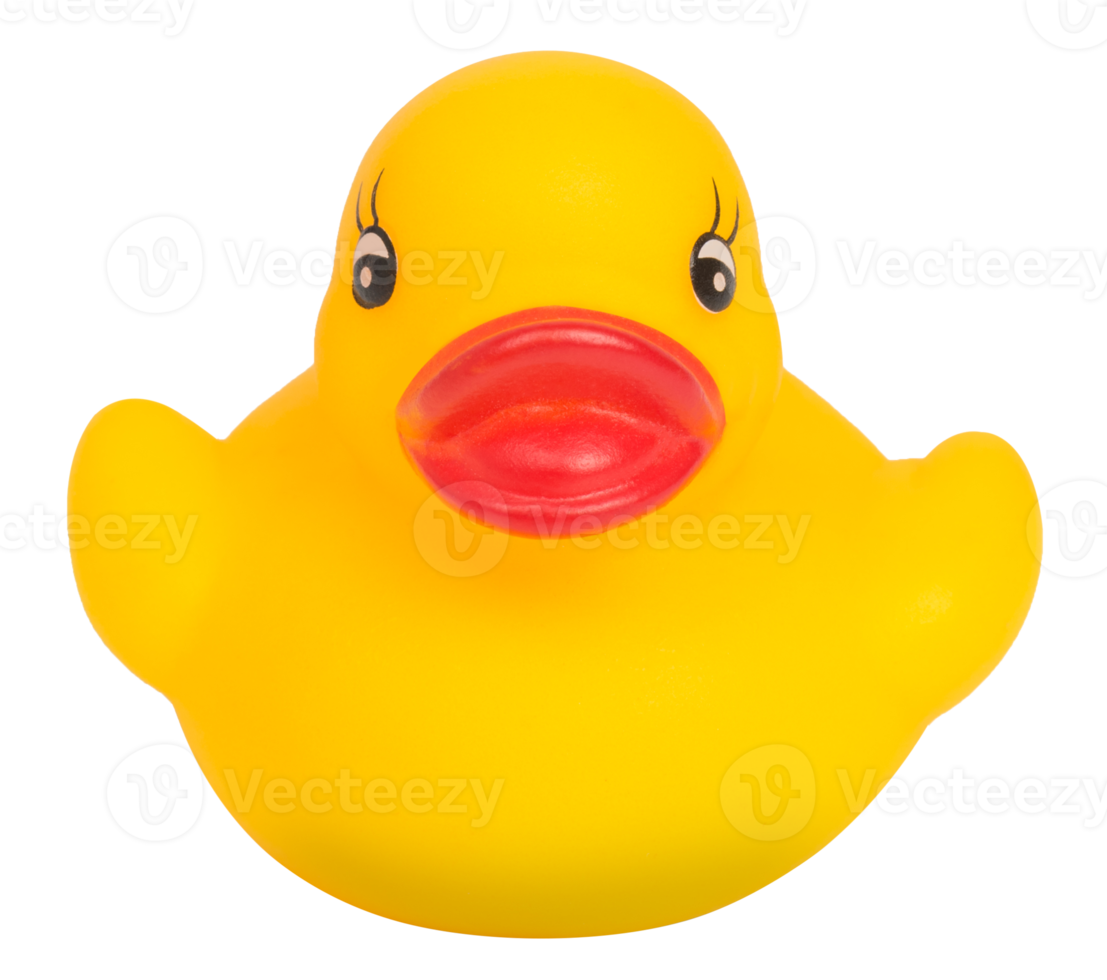 Yellow rubber duck isolated png