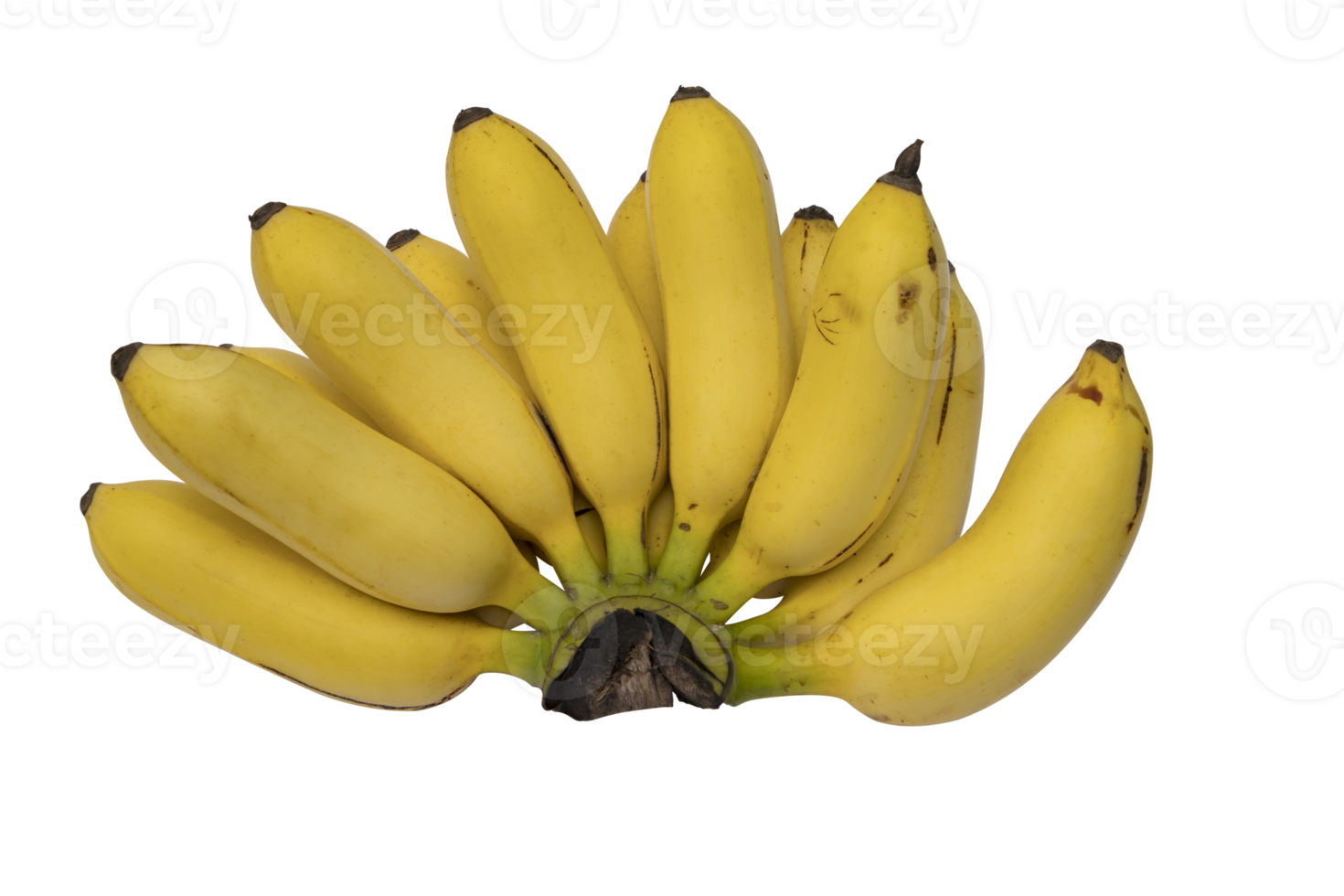 mazzo di maturo giallo banane isolato su sfondo png