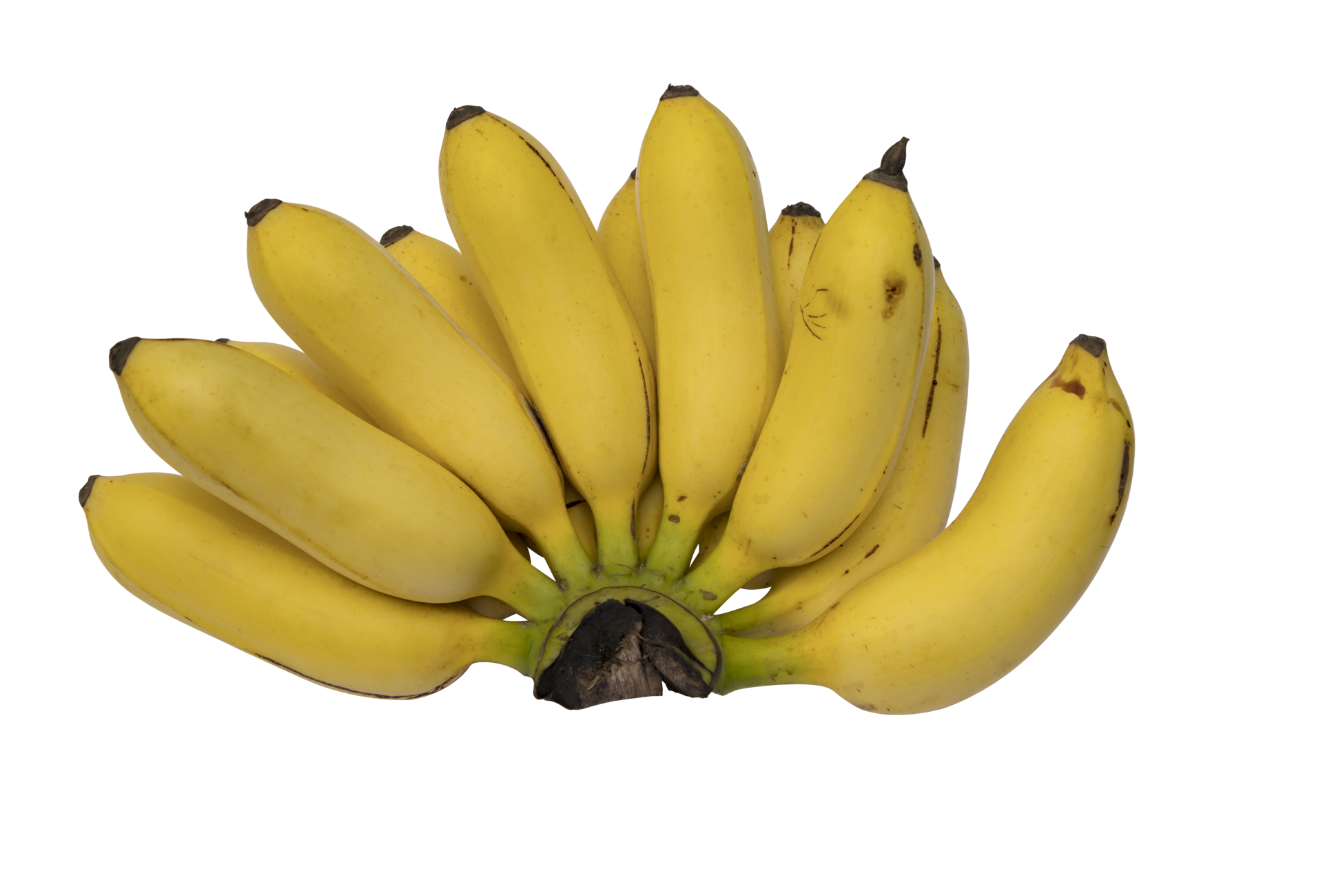 yellow Banana png 11033657 PNG