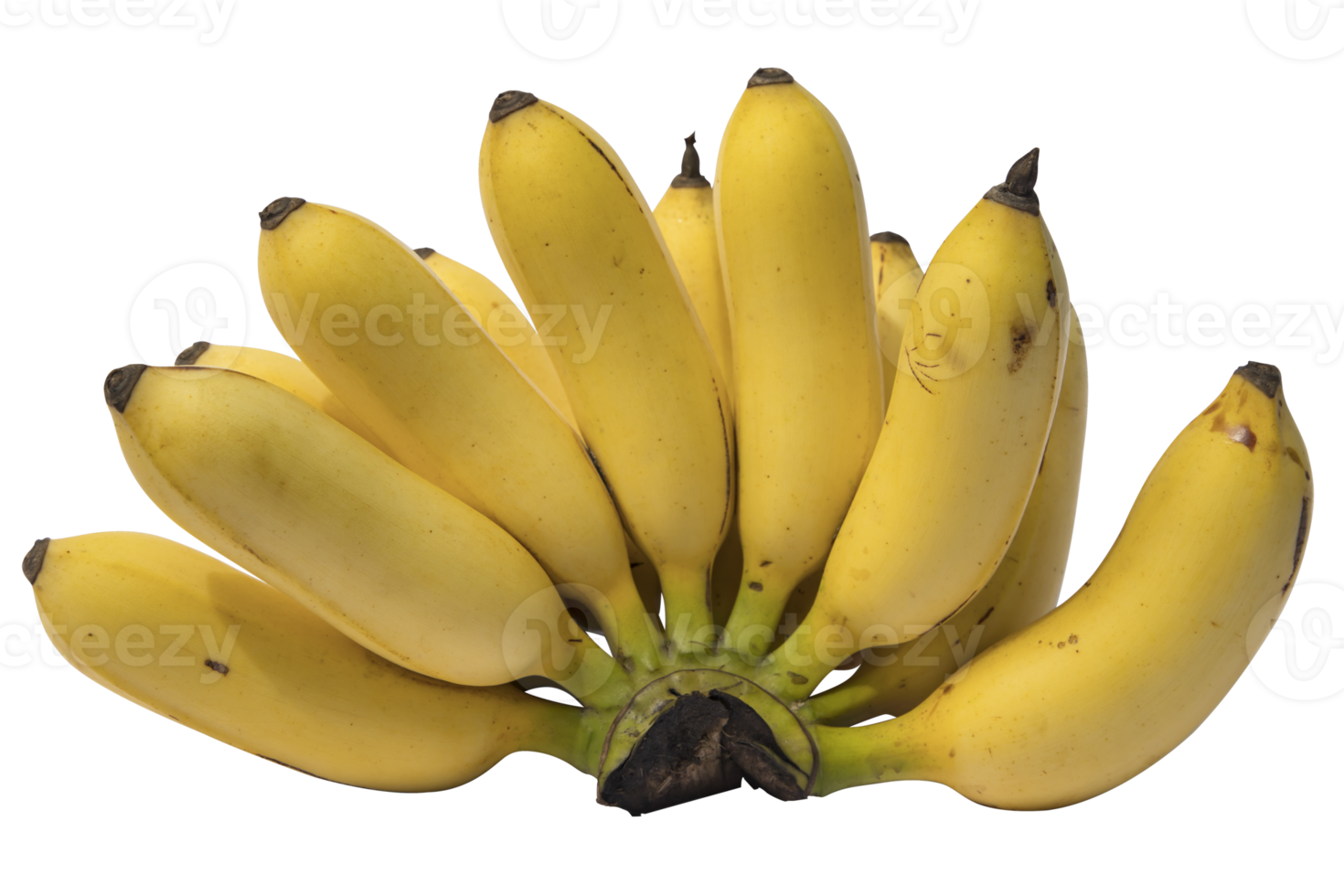 Régime de bananes jaunes mûres isolé sur fond png