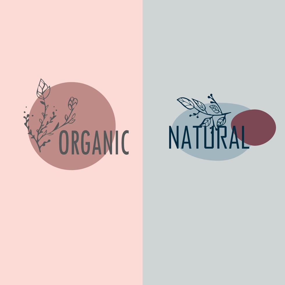 Set Hand Drawn Organic. Organic. Natural. Botanical  Decorative Leaf, Vector Illustration for graphic design, wedding, invitation, logo, cosmetic
