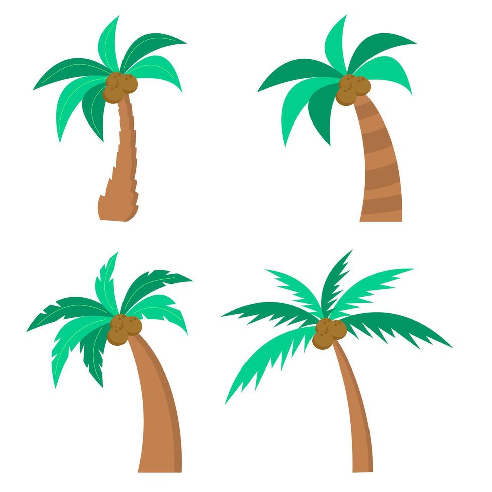 conjunto de diferentes palmeras con cocos. aislado sobre fondo blanco. ilustración vectorial vector