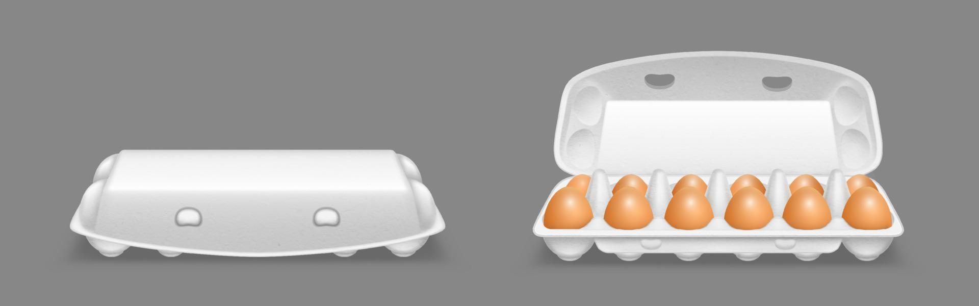 Carton egg tray, blank box package mockup vector