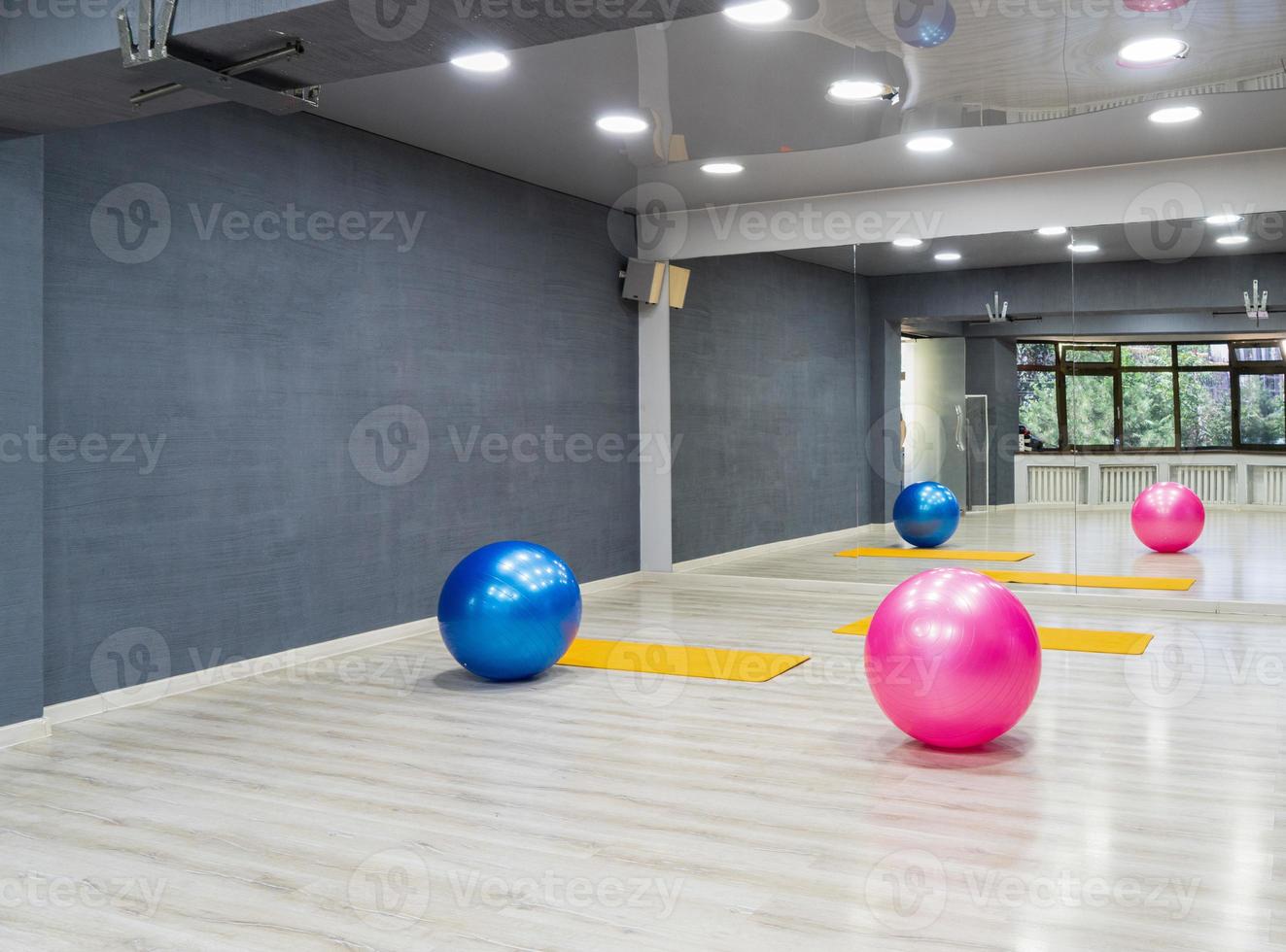 The exercise balls in the sports complex photo