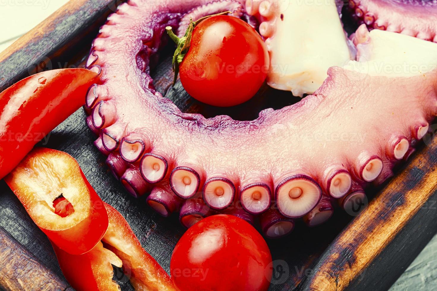 Raw octopus tentacle photo