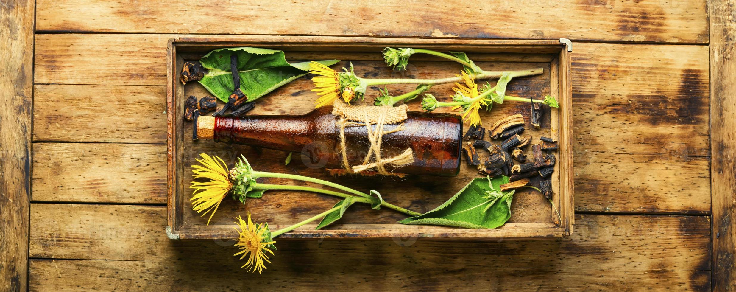 Elecampane root tincture photo