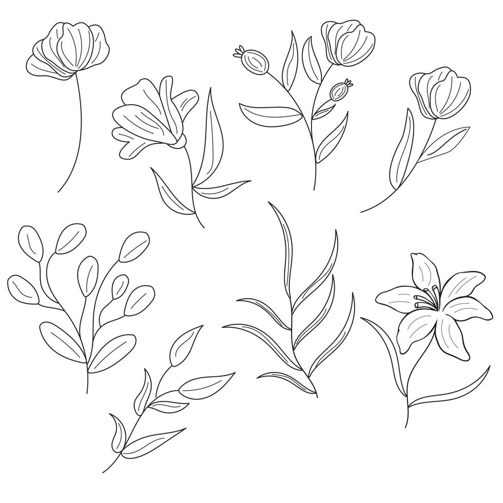 Minimalist botanical sketch, hand-drawn flower, leaf. Thin line, tattoo design. vector