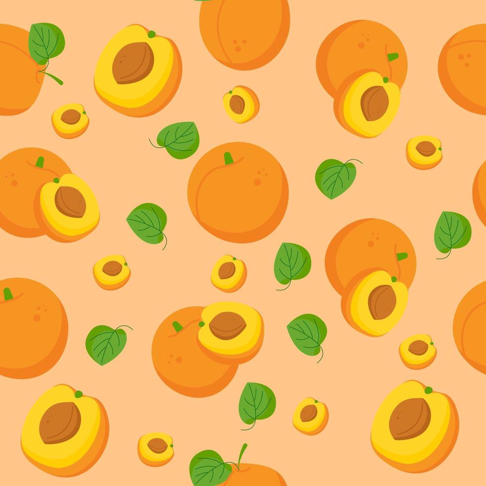 Seamless apricot fruit pattern whole and half vector