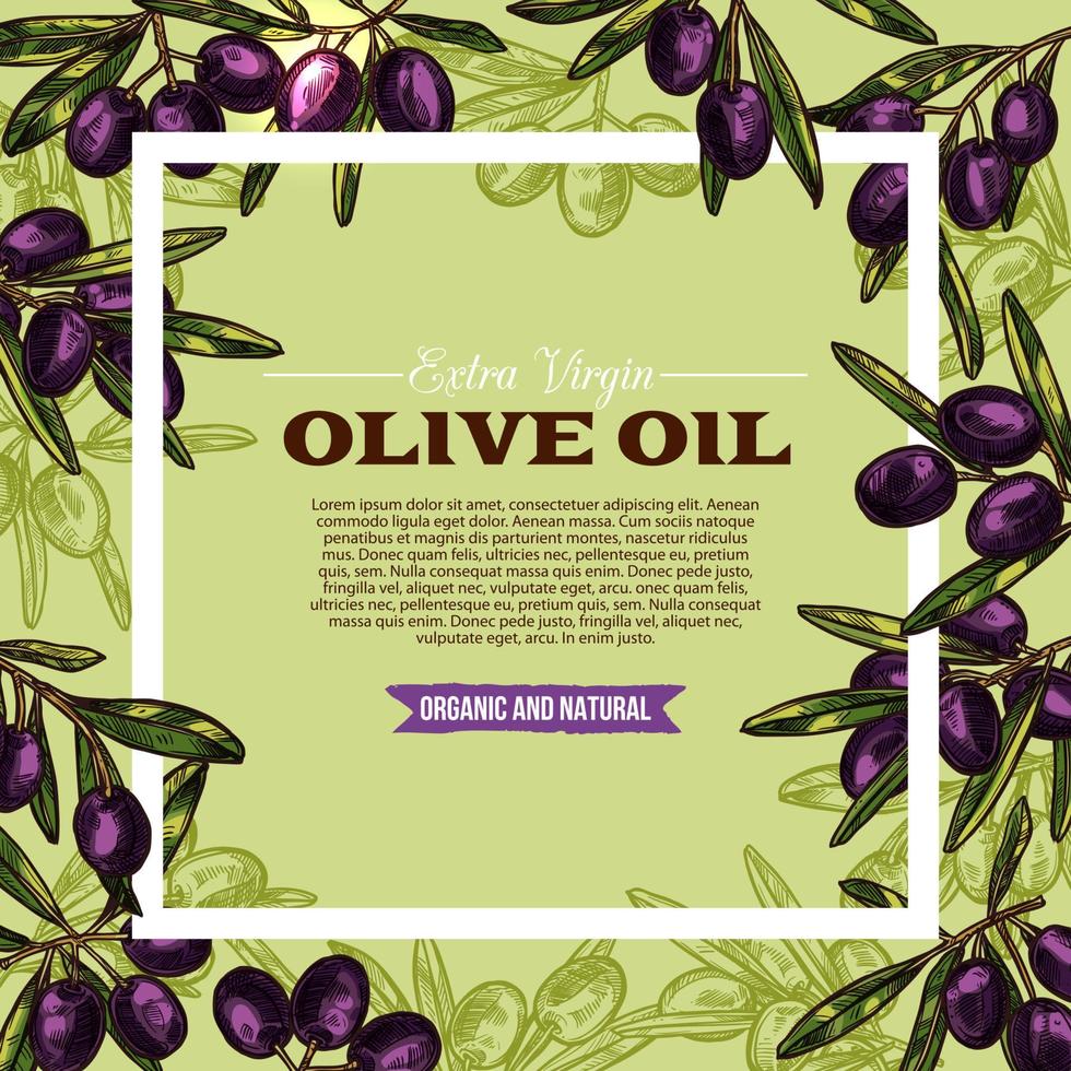 Olive fruit sketch frame of extra virgin oil label vector