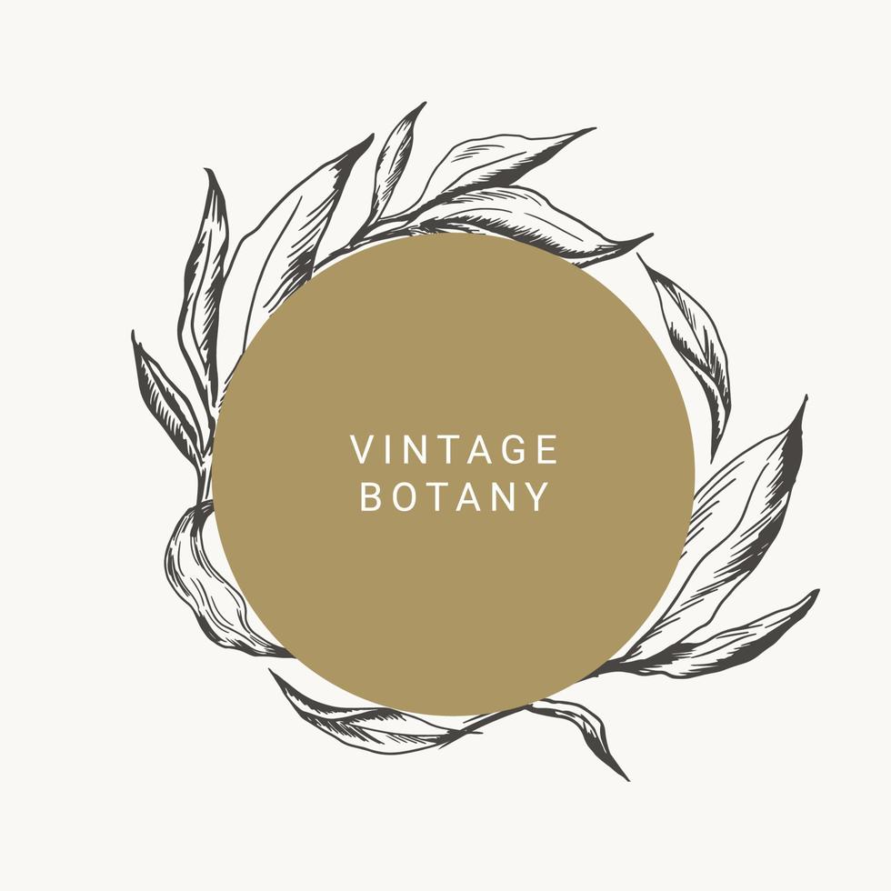 Vector round frame with leaves in vintage engrave style. Black and white illustration.