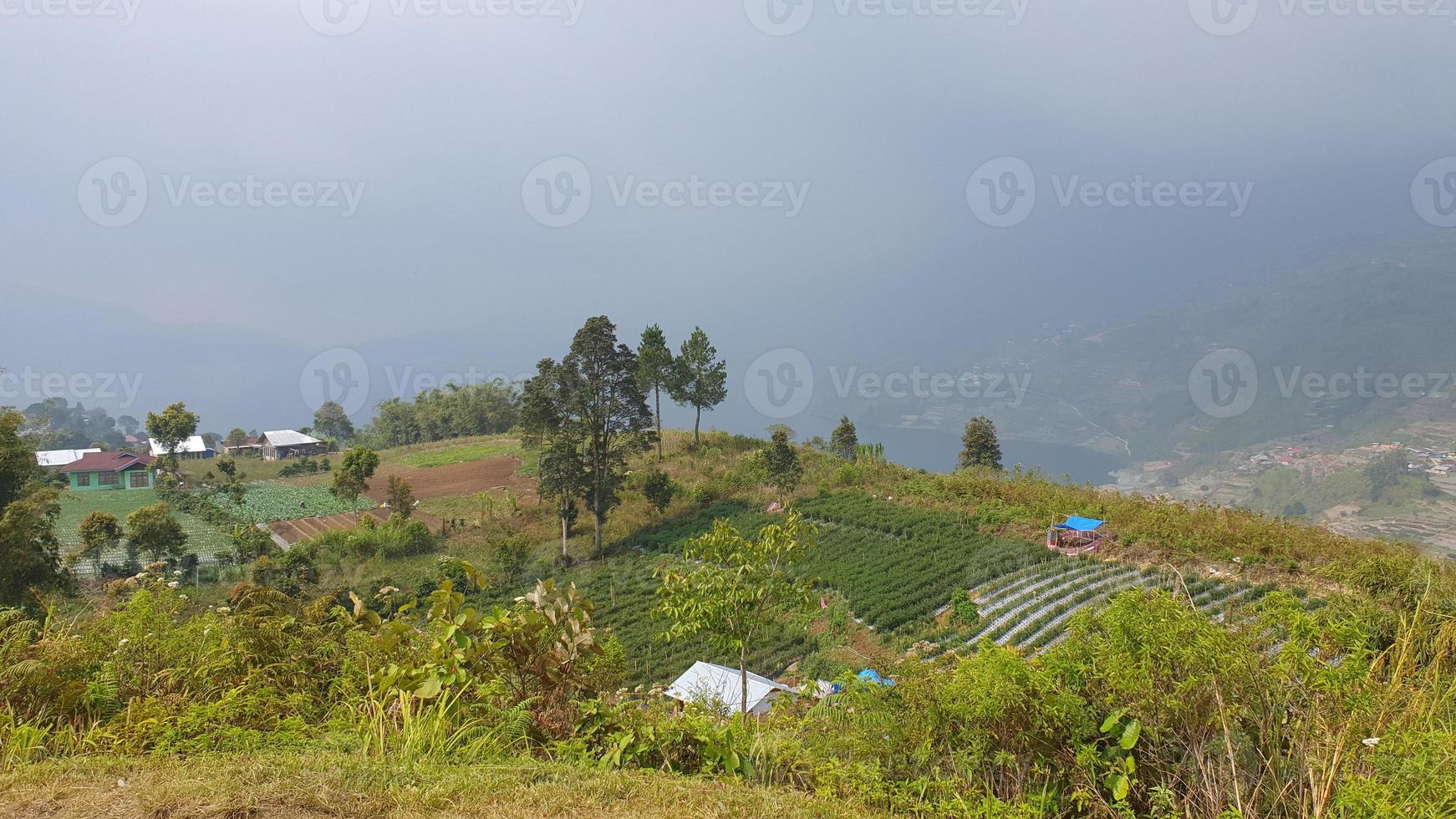 Beautiful view of hills and rice fields photo