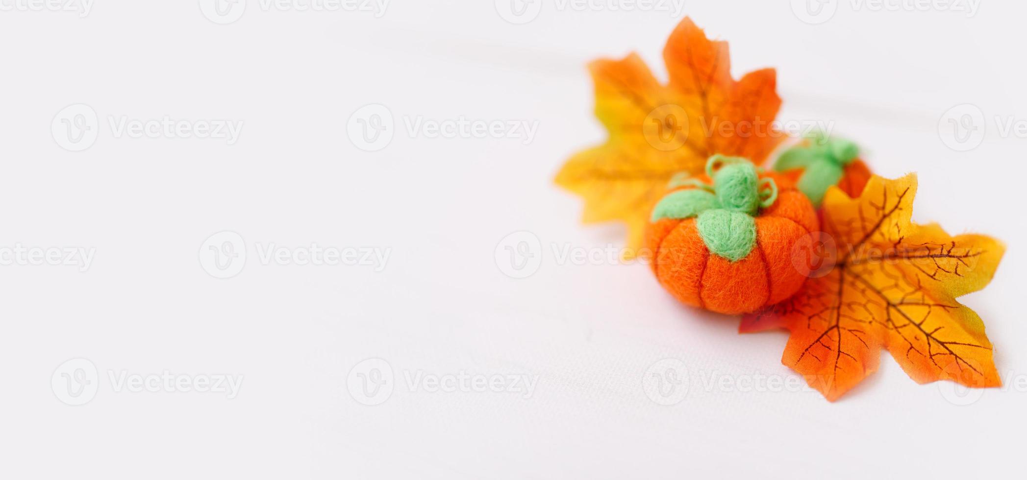 Thanksgiving background. Autumn season photo