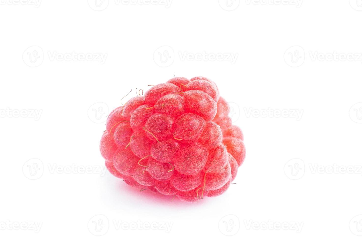 raspberry on white background photo