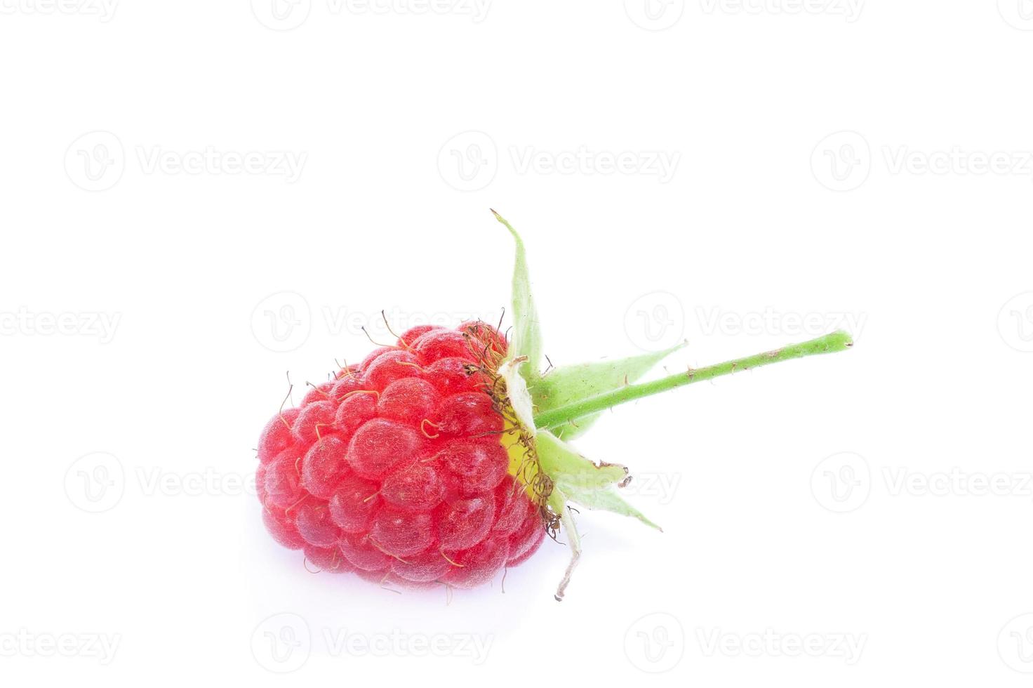 raspberry on white background photo