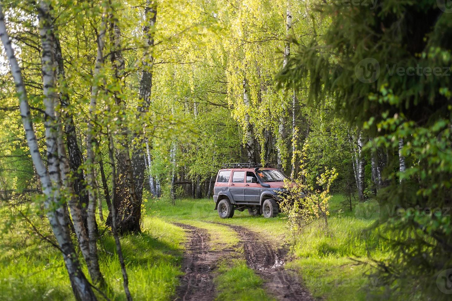 Car in the woods photo