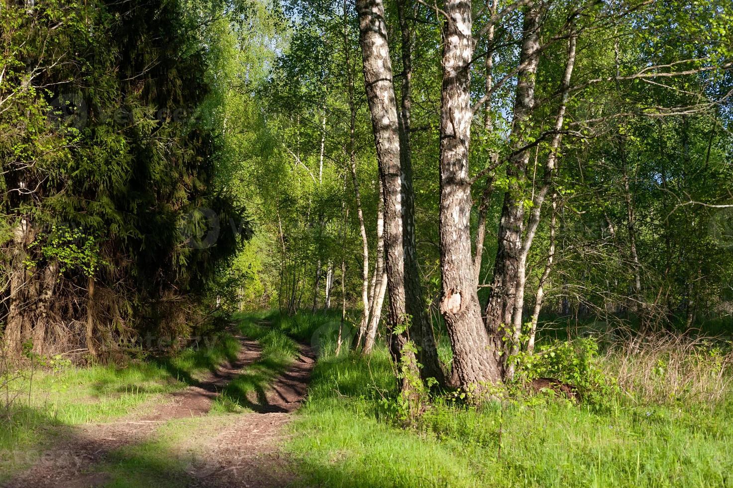 Landscape of nature countryside photo