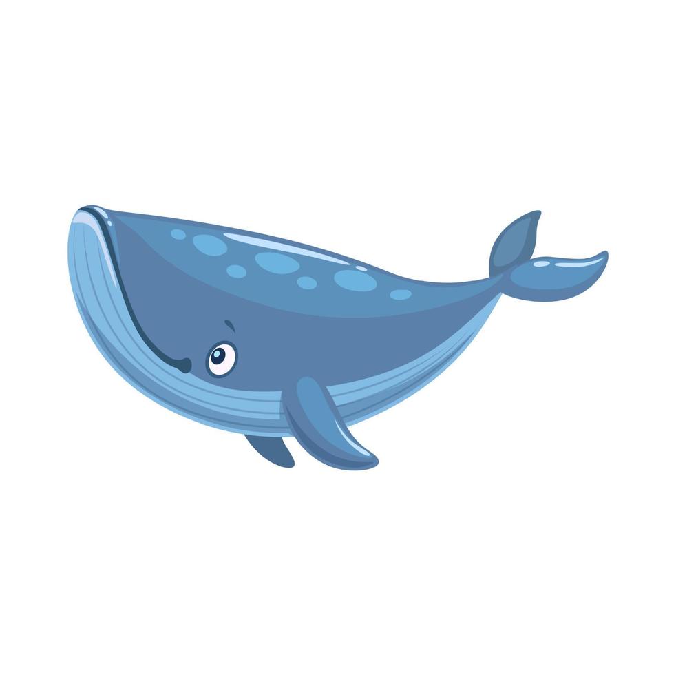 Cartoon grey whale character, kid funny sea animal vector