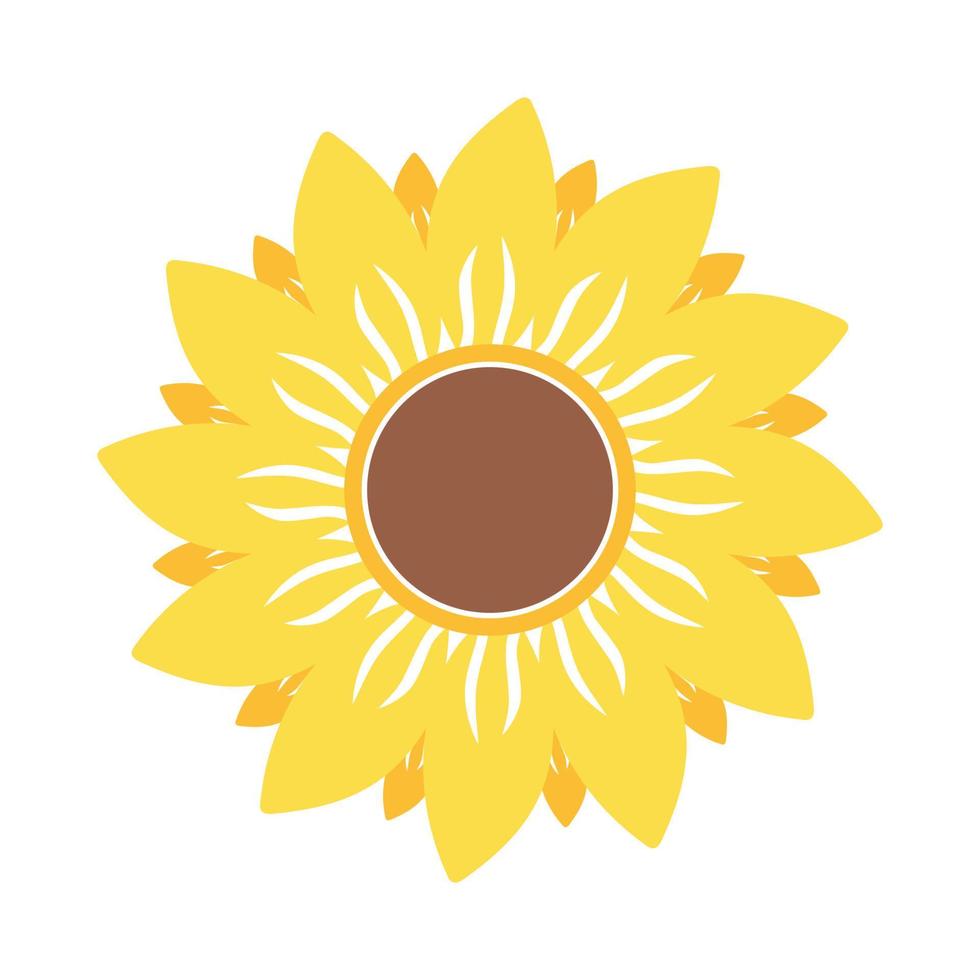 Beautiful and natural sunflower illustration vector