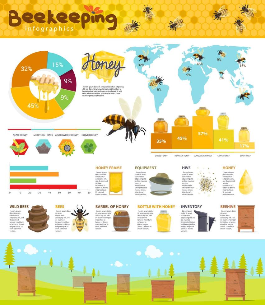 Beekeeping and honey production infographic vector