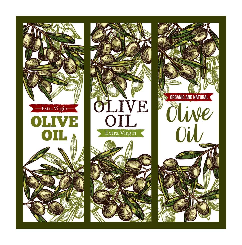 Vector olive oil extra vrigin sketch banners