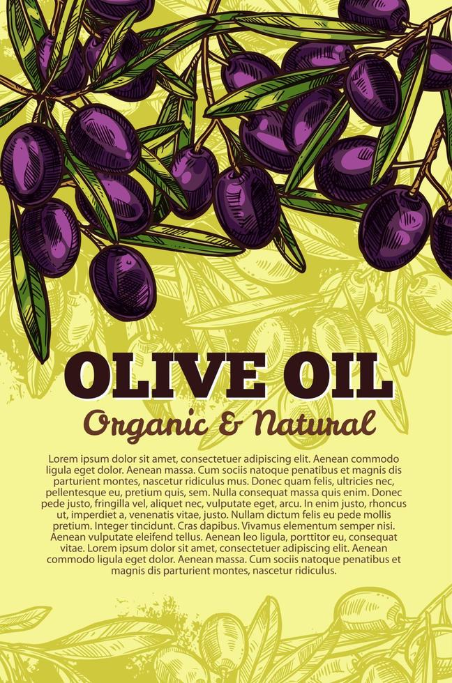 Vector olive oil black olives sketch poster