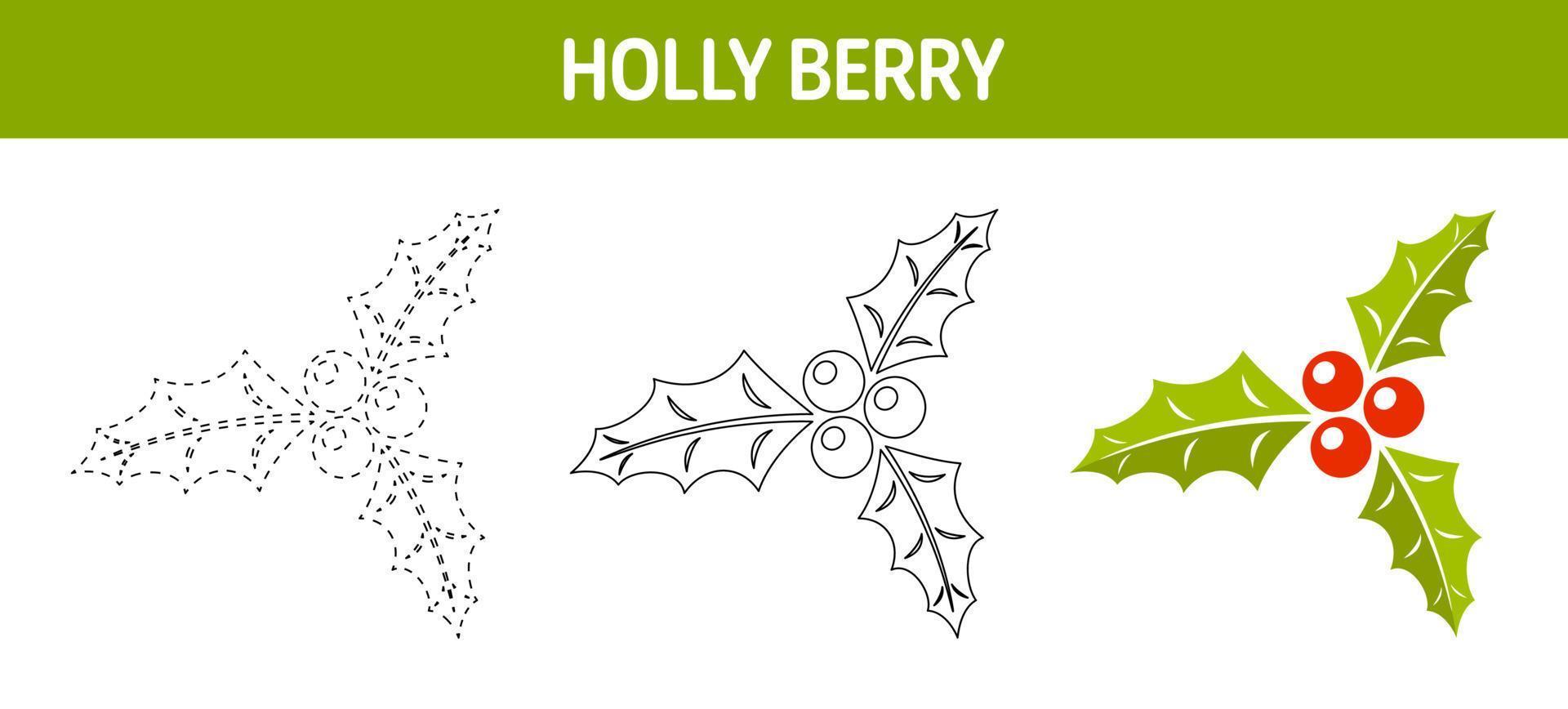 Holly Berry tracing and coloring worksheet for kids vector