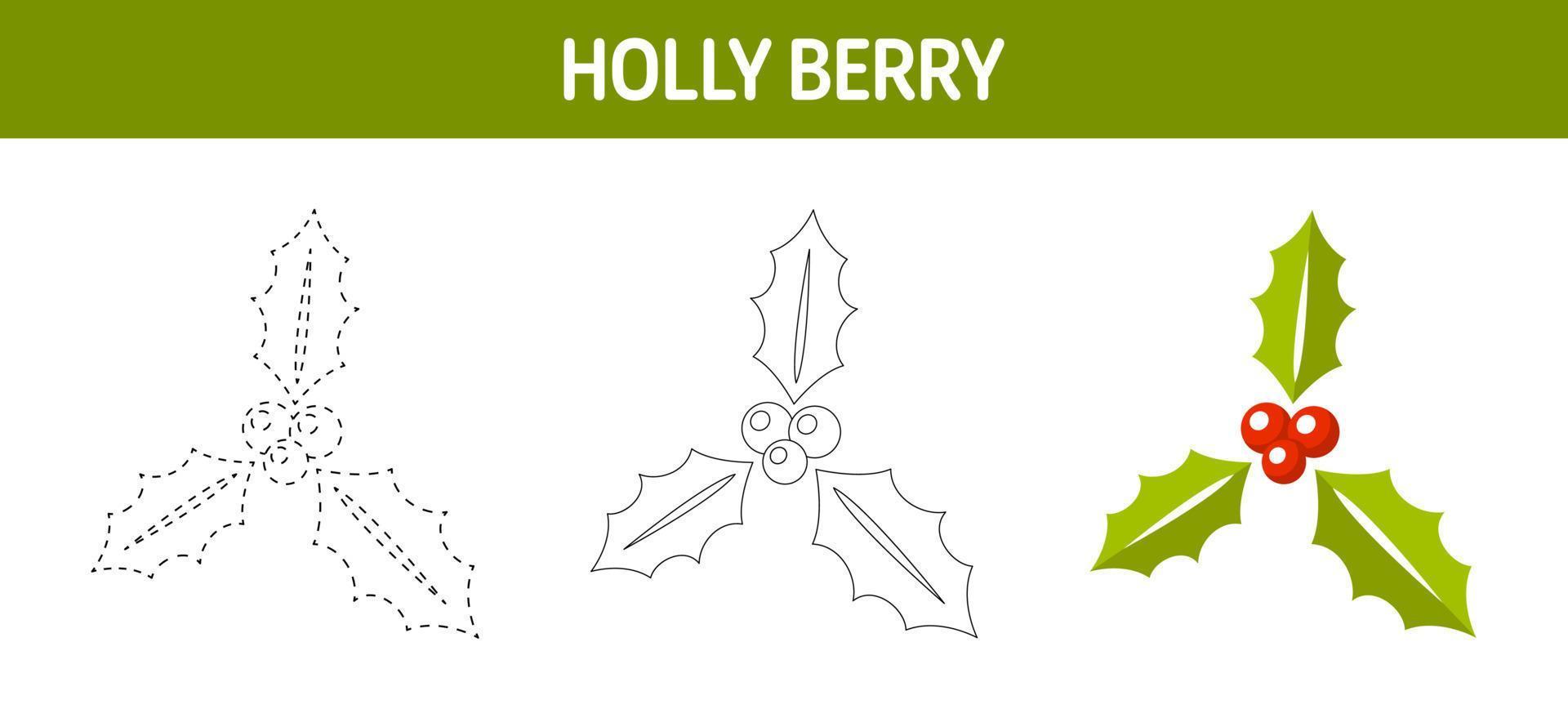 Holly Berry tracing and coloring worksheet for kids vector