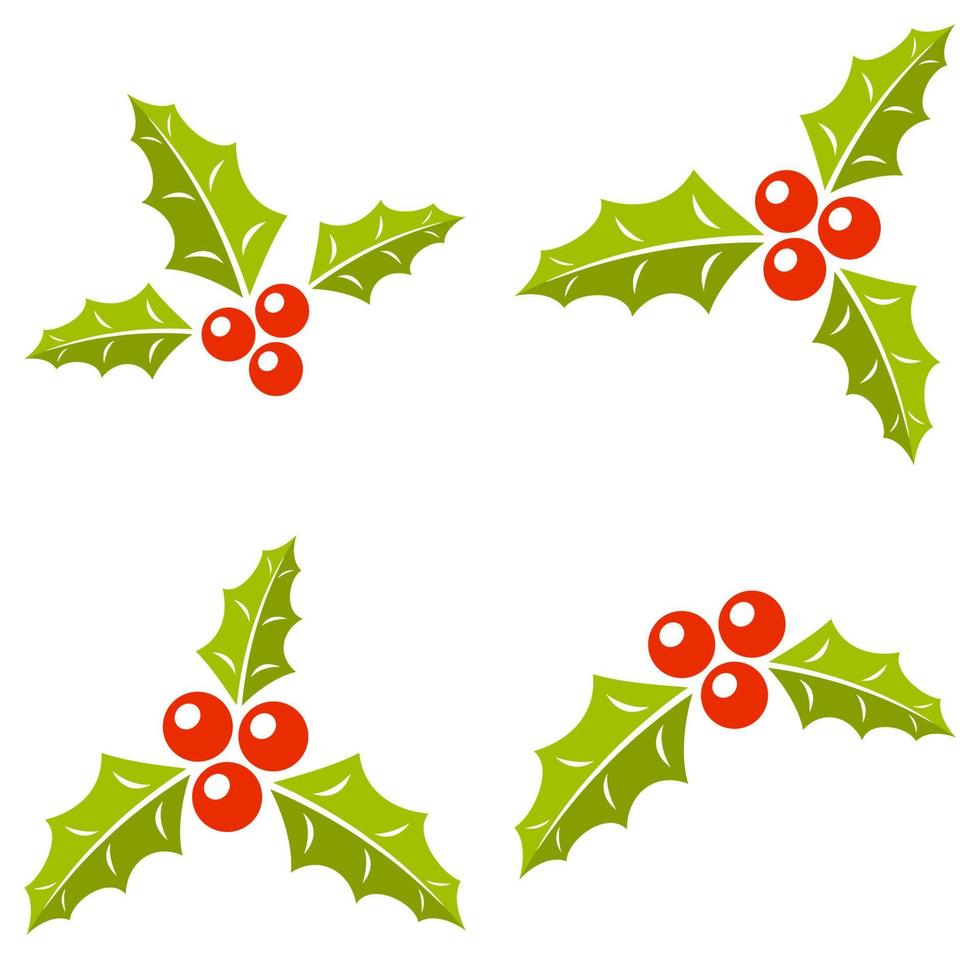 Holly Berry isolated on white background vector