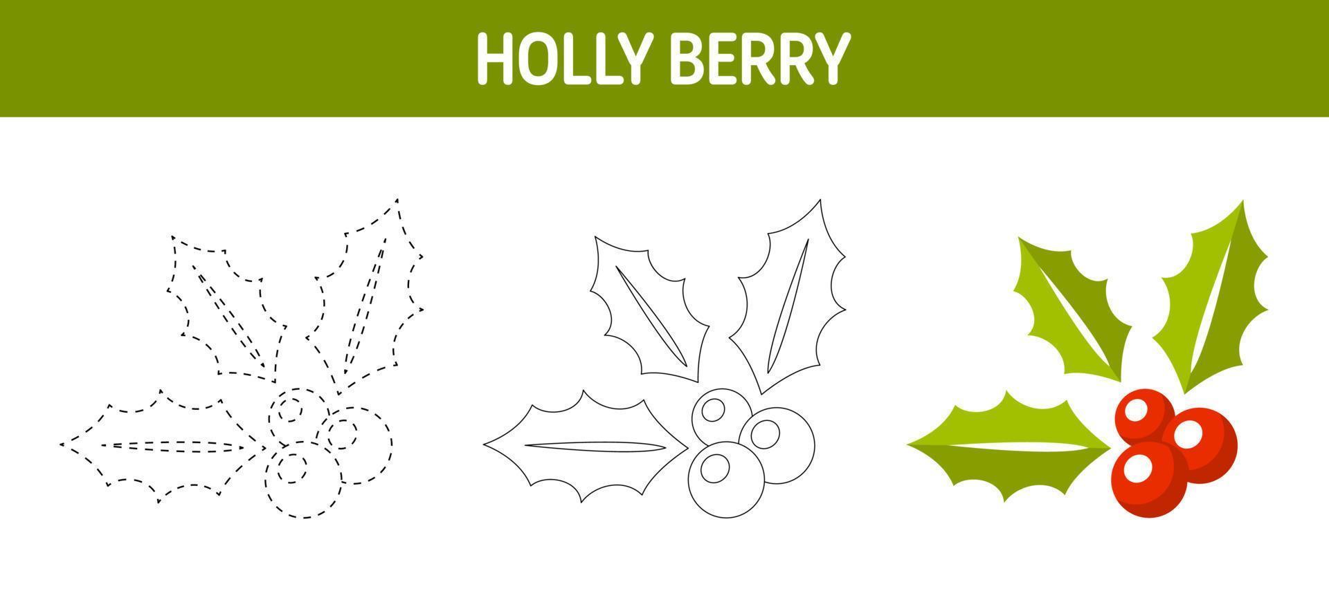 Holly Berry tracing and coloring worksheet for kids vector