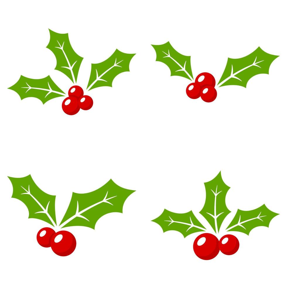 Holly Berry isolated on white background vector