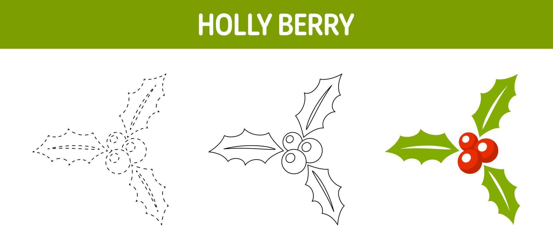 Holly Berry tracing and coloring worksheet for kids vector