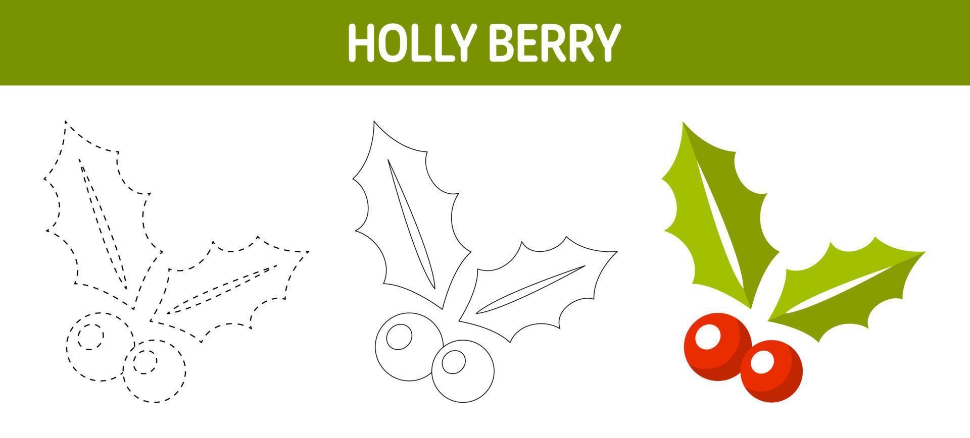 Holly Berry tracing and coloring worksheet for kids vector