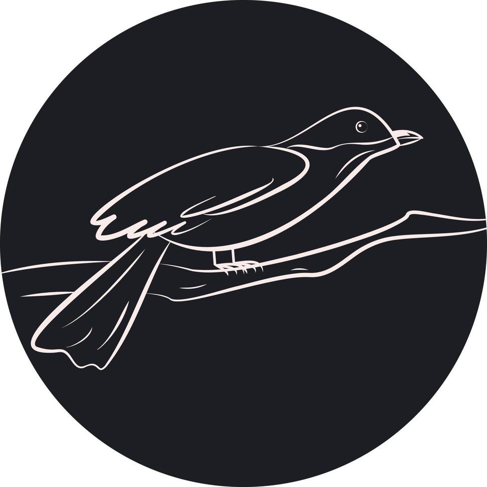 line contour of bird vector