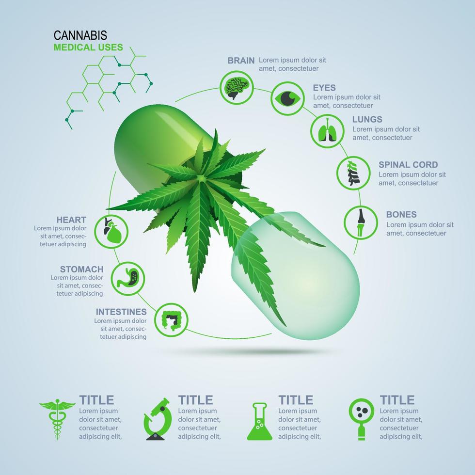 infografías de pastillas de cannabis vector