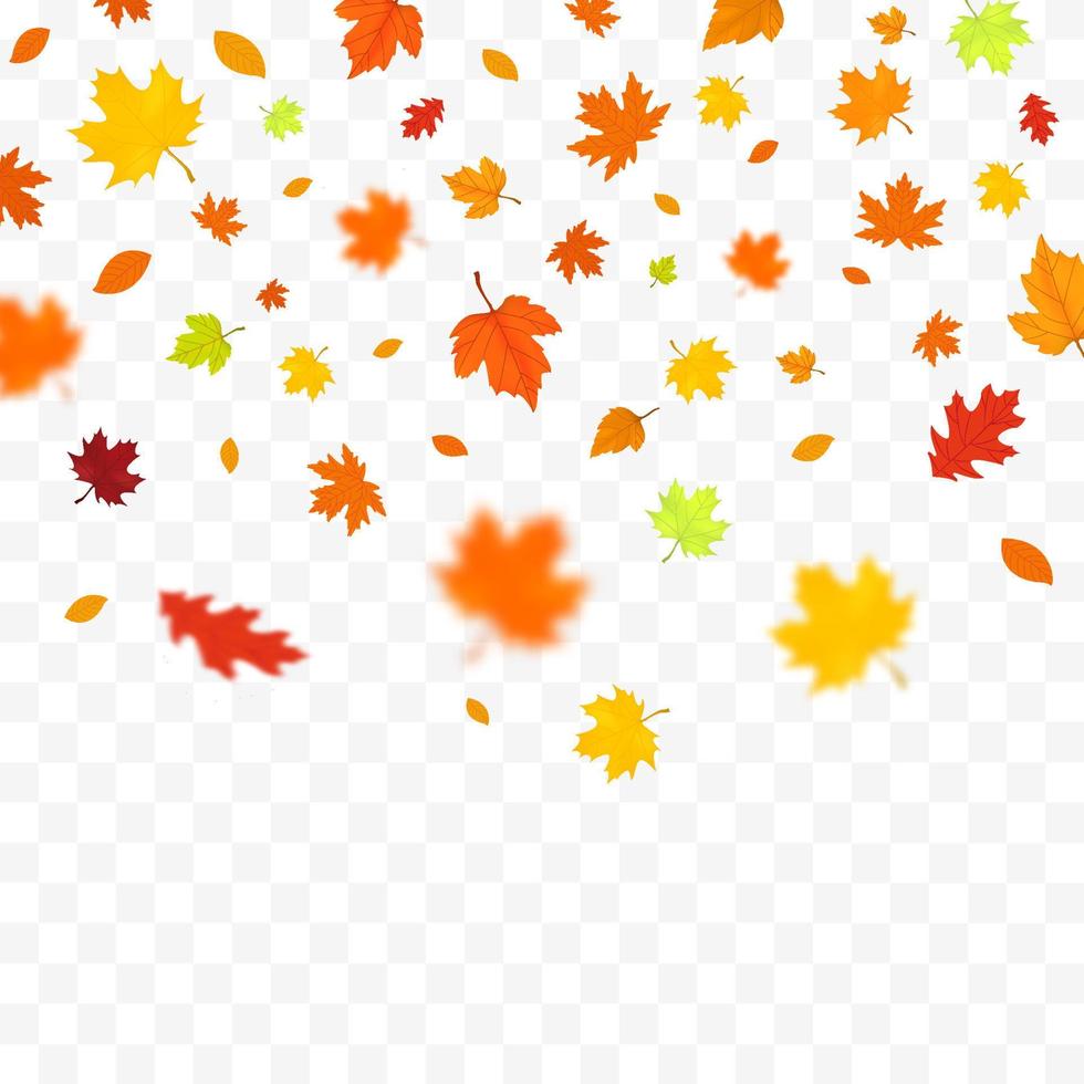 Autumn Falling Leaves Isolated On White Background vector