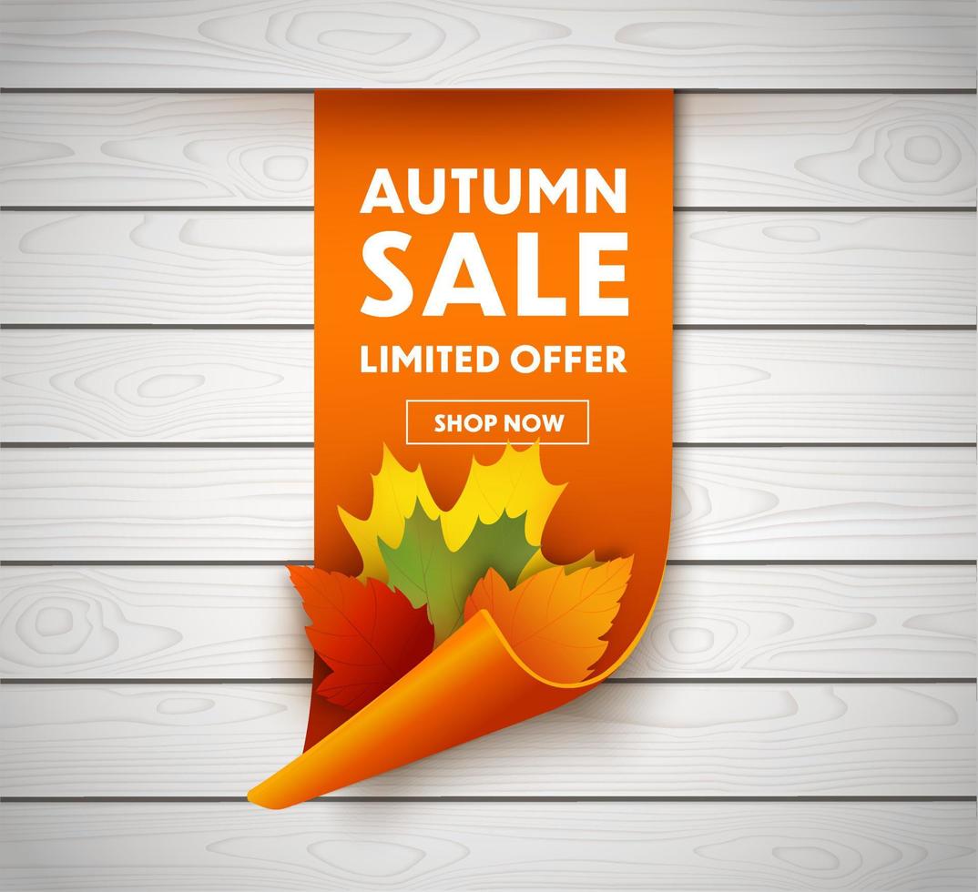 Autumn Sale Ribbon Banner. vector