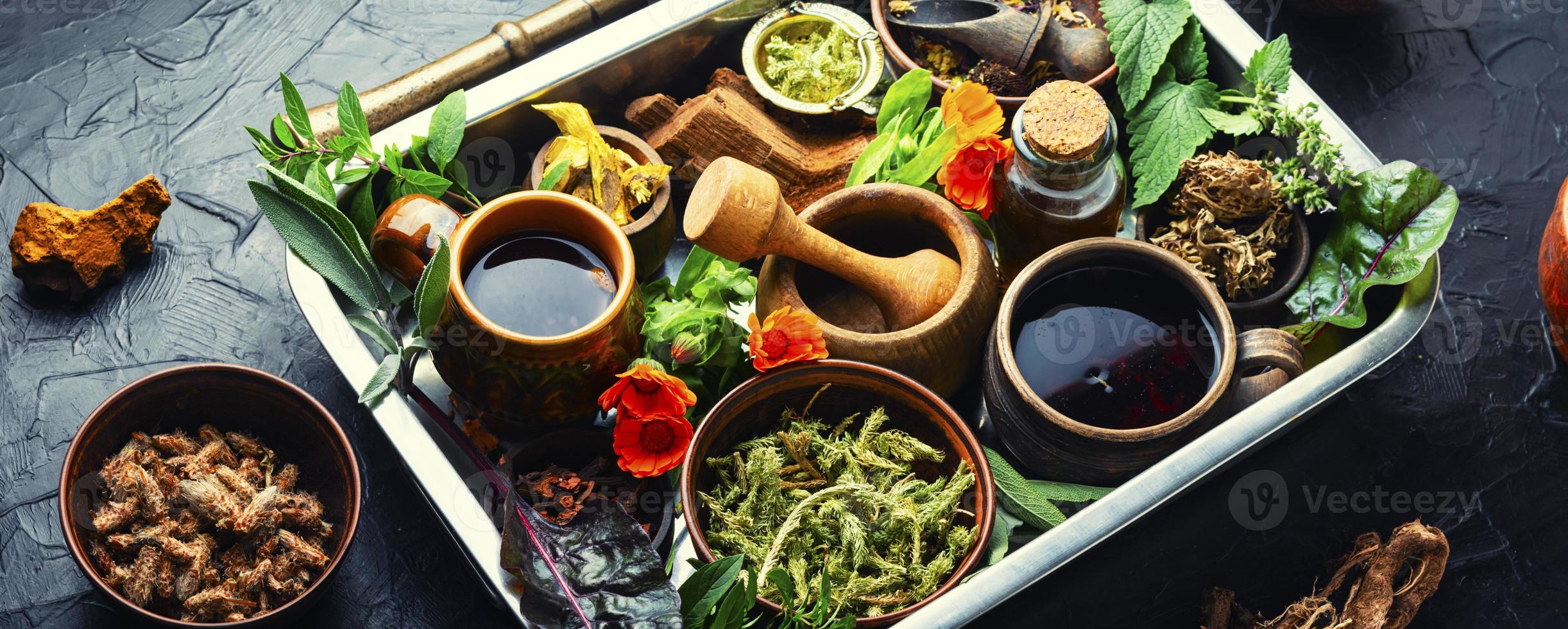 varios tipos de plantas medicinales foto