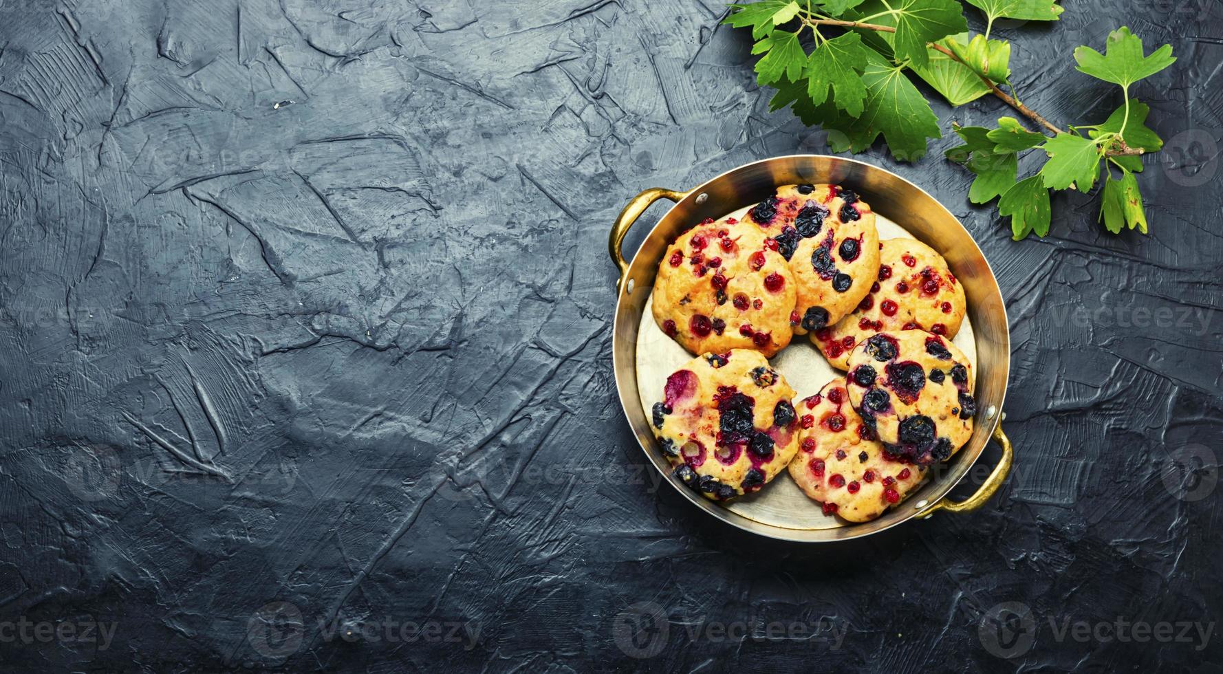 Homemade syrniki with currants,space for text photo