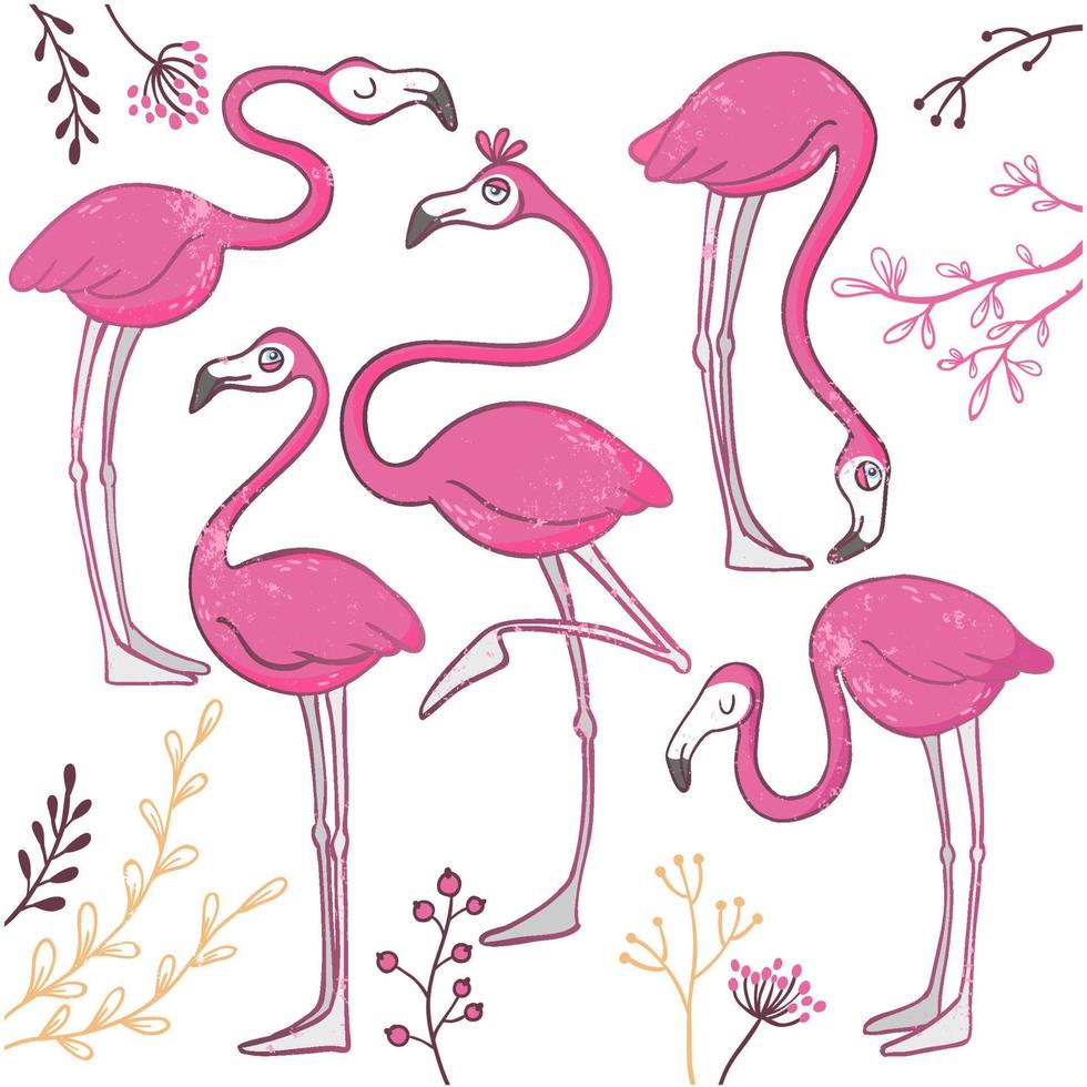 Set of funny hand drawn flamingos. vector