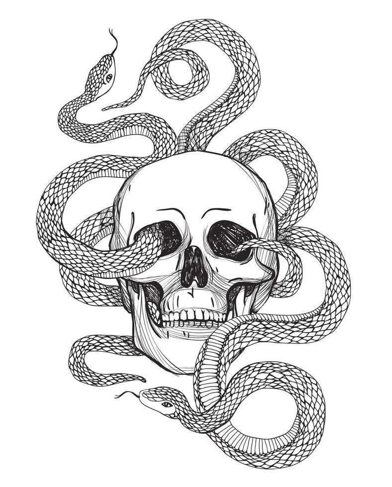 Skull and Snake. Vintage Vector illustration