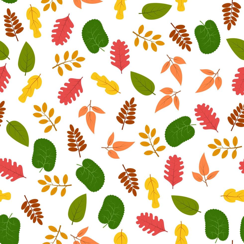patrón sin costuras con hojas de otoño. ilustración vectorial vector