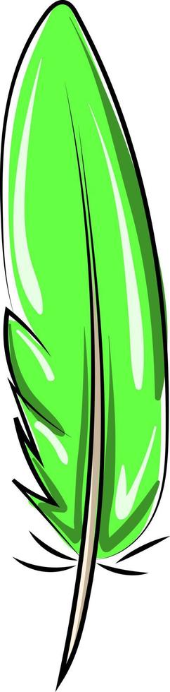 Green feather, illustration, vector on white background.