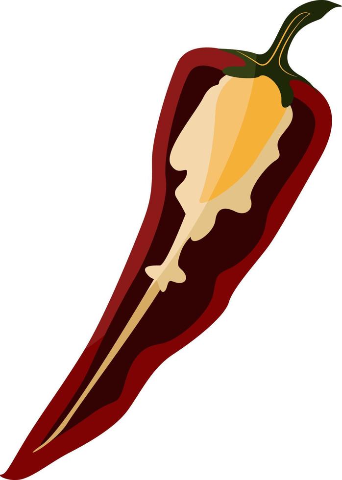 Hot pepper, illustration, vector on white background.
