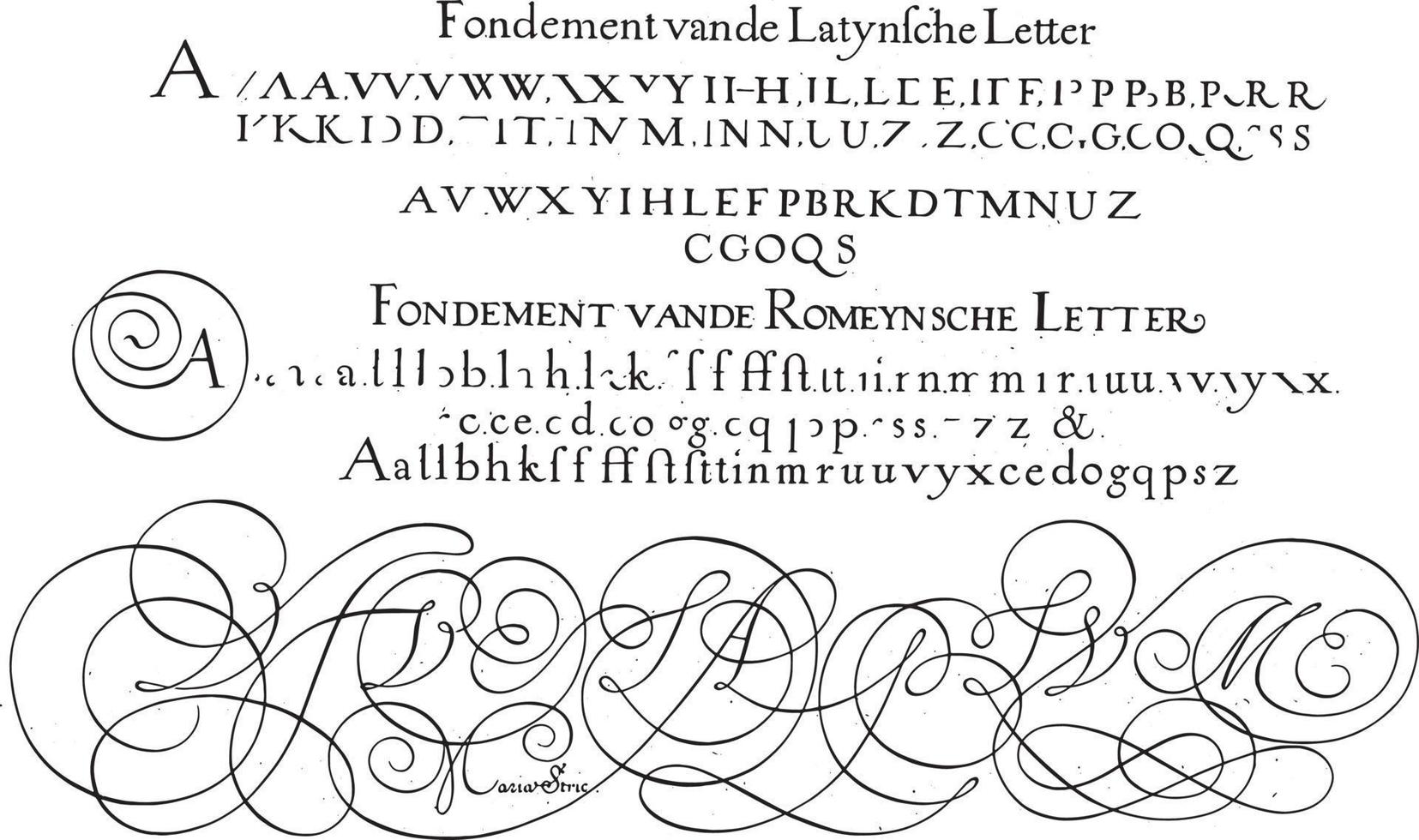 Examples of the Latin and Roman letter, vintage illustration. vector