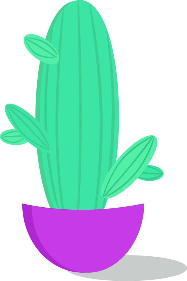 Cactus in pot, illustration, vector on white background.
