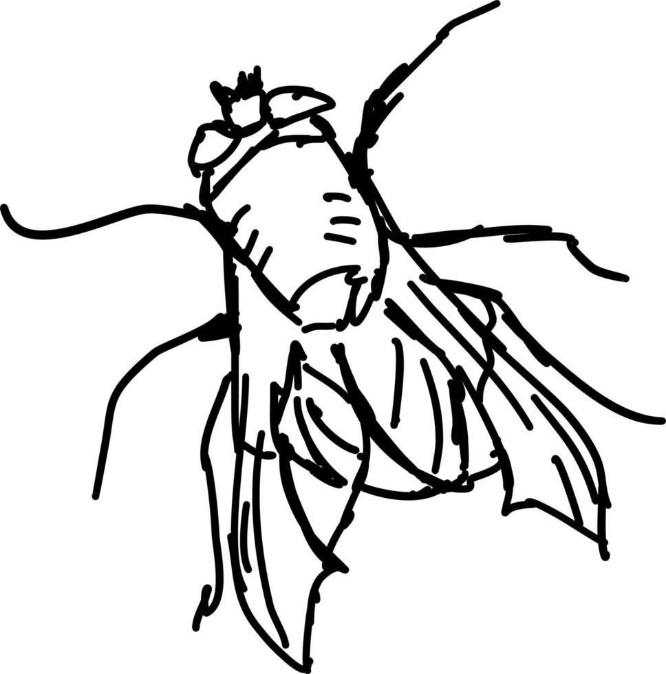 Boceto de mosca, ilustración, vector sobre fondo blanco.