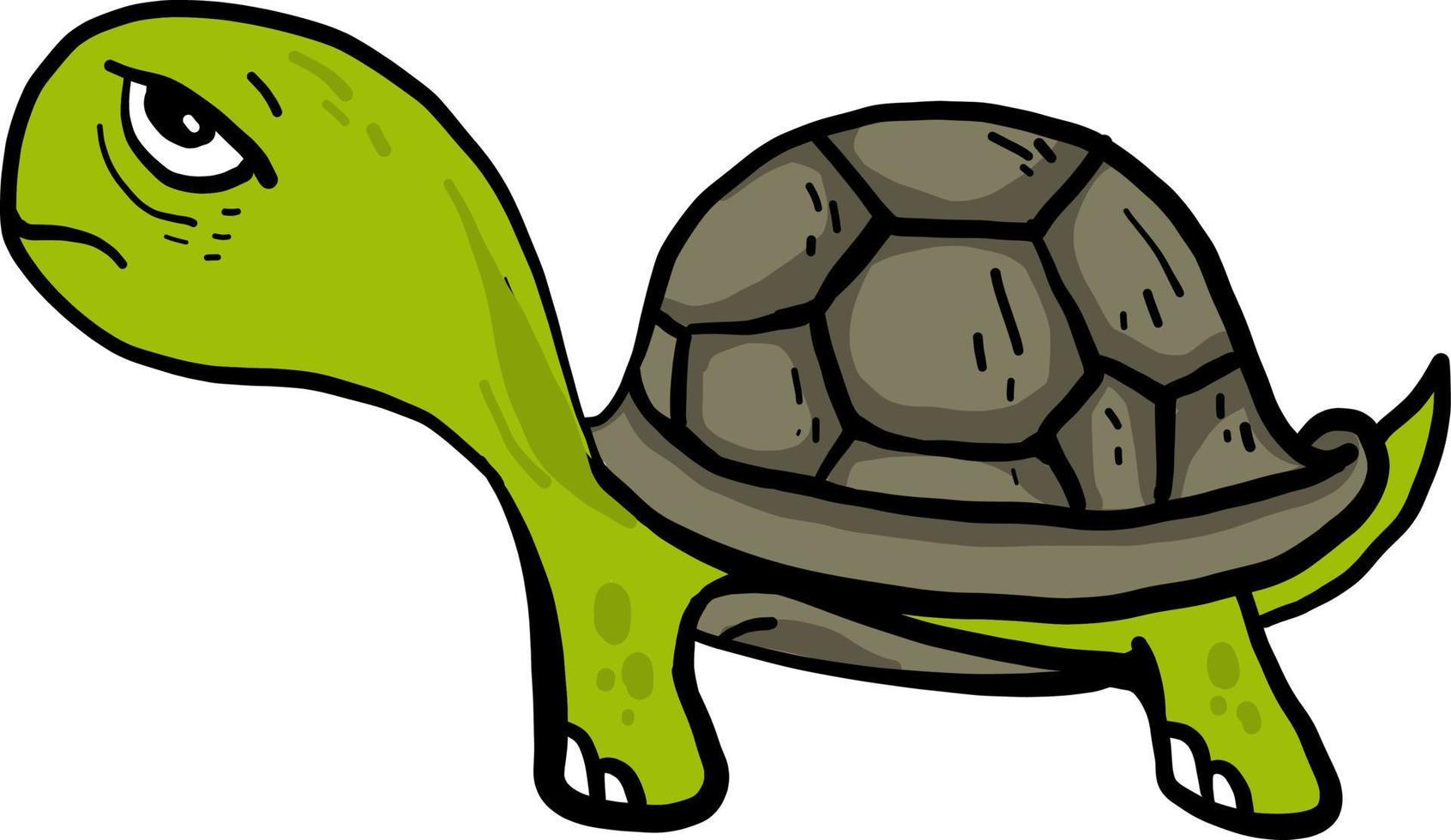 Moody turtle, illustration, vector on white background.