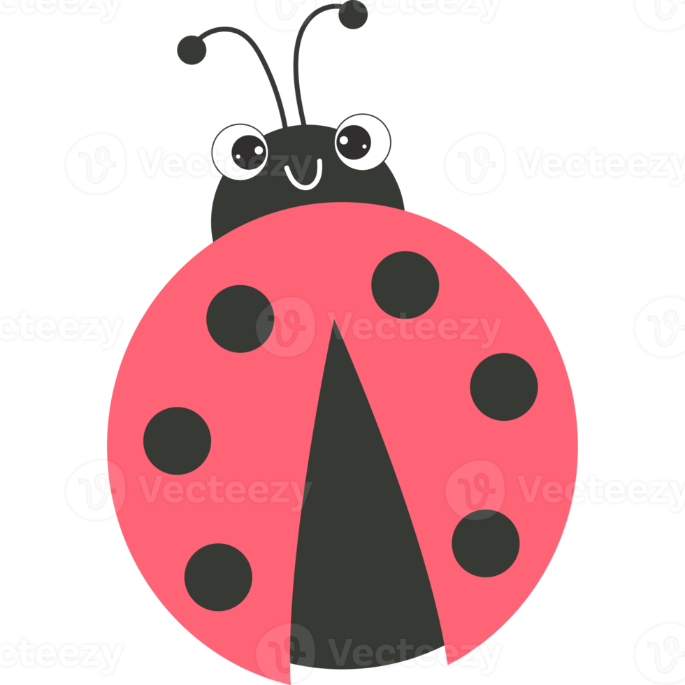 insetto. carino coccinella png